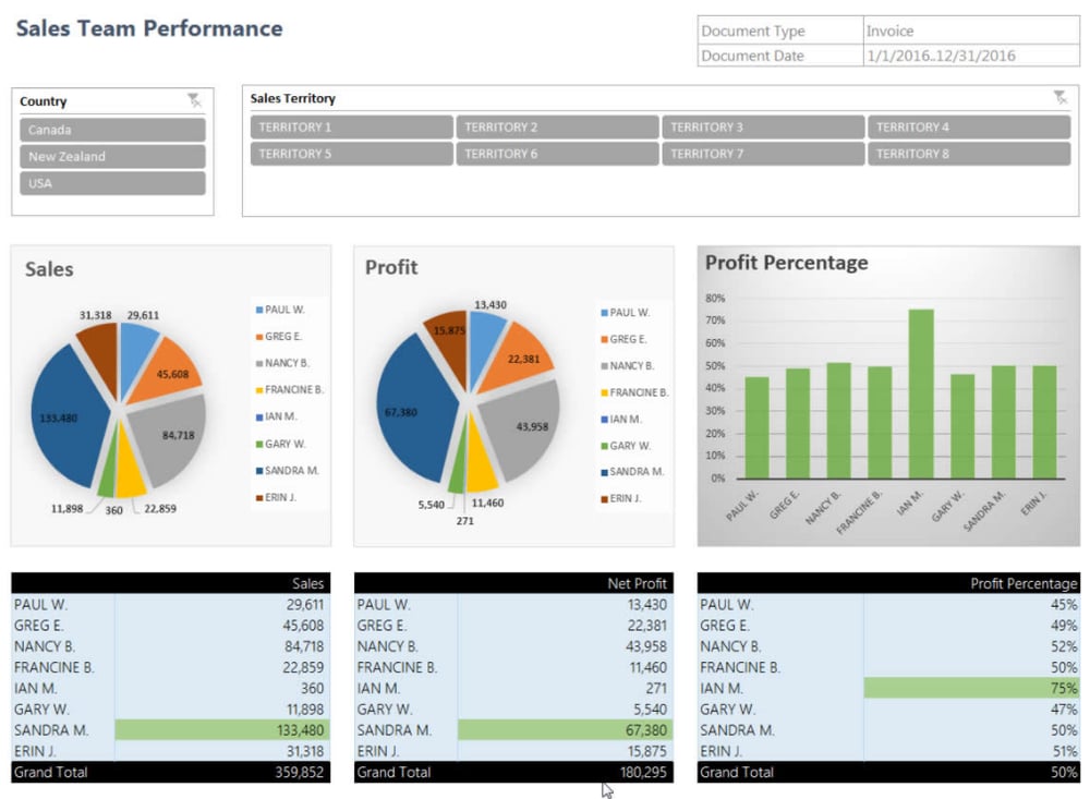 Microsoft Dynamics NAV Jet Reports Sales Team Performance