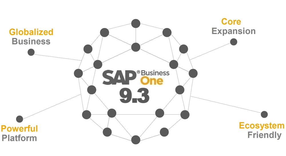 SAP Business One 9.3