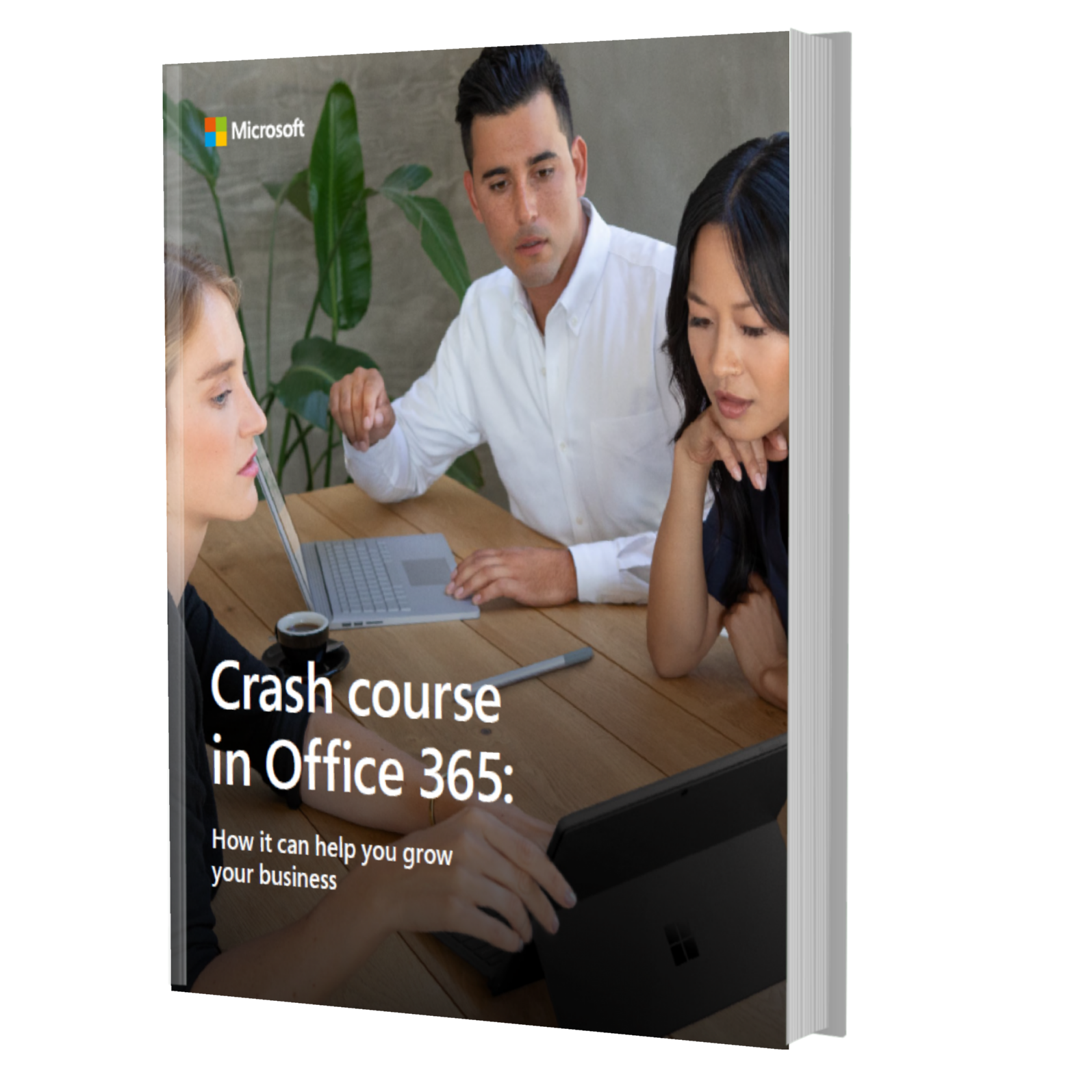 Crash Course in Office 365 - How It Can Grow Your Business Ebook