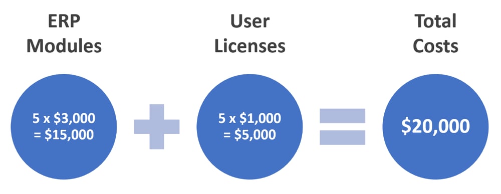 Modular-based ERP Software pricing example