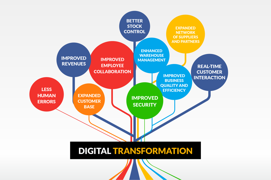 Plan for digital success