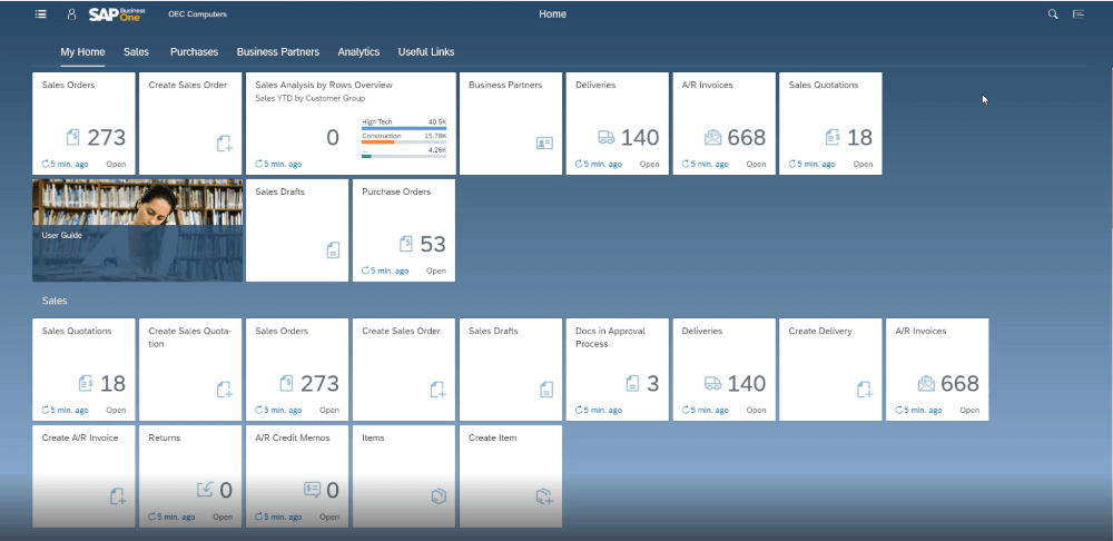 Example of SAP Business One Web Client Home Page (1) (1)