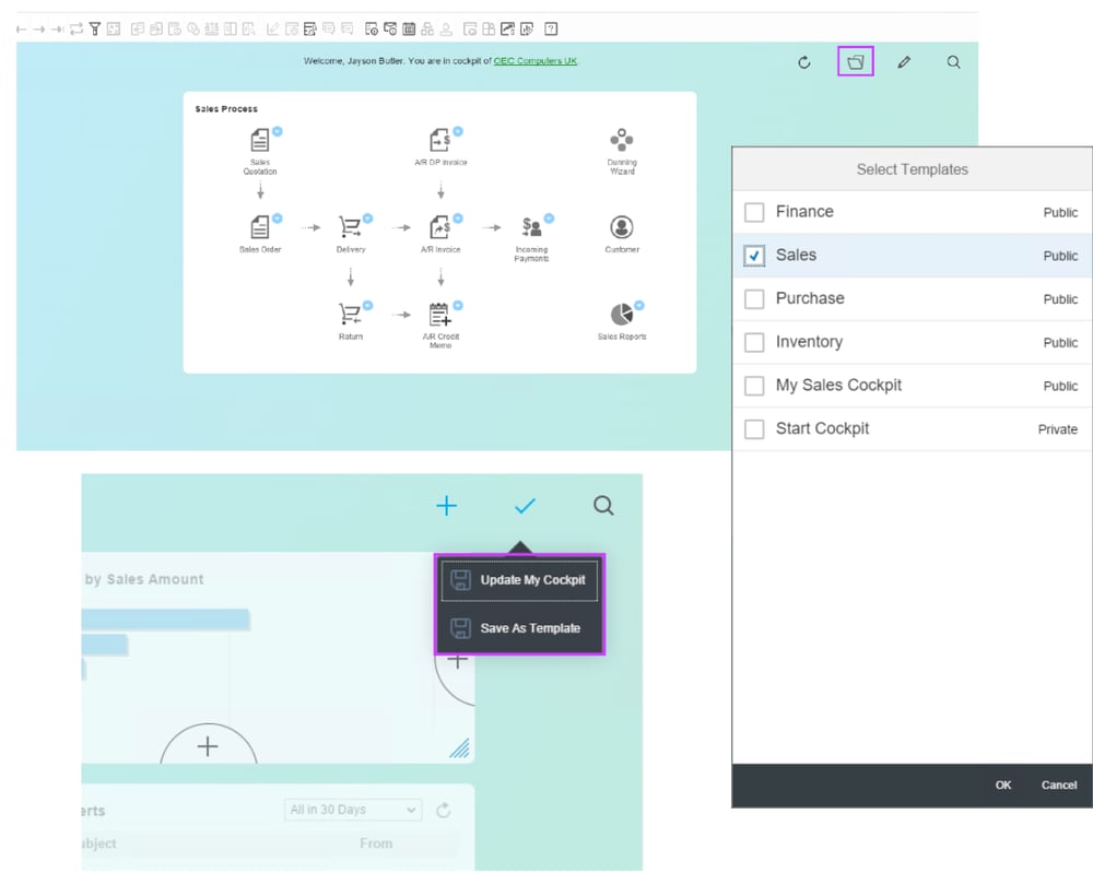 Cockpit Template in SAP Business One 9.3. HANA