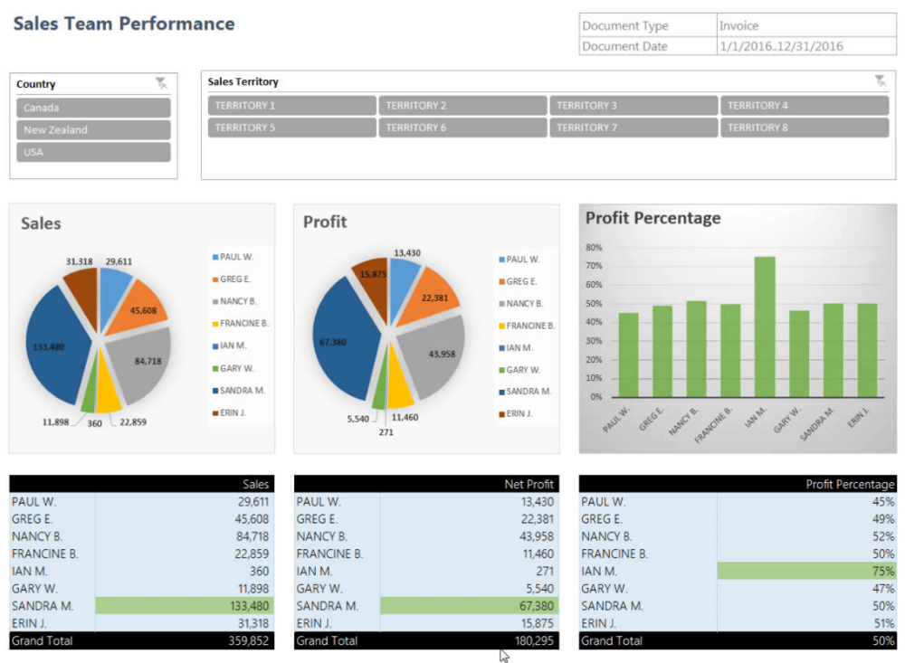 Microsoft Dynamics NAV Jet Reports Sales Team Performance